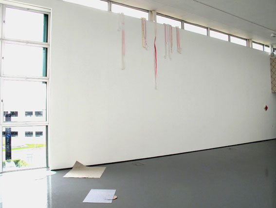 Installation view of Similar Variance and exhibition by Sara MacKillop